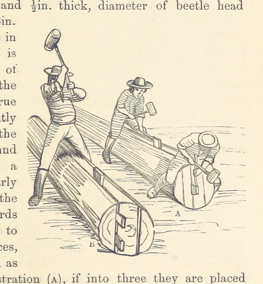 An illustration from Shifts and Expedients of Camp Life, Travels, etc, 1876, leaf 265