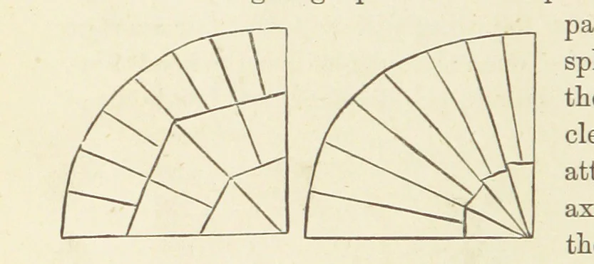 An illustration from Shifts and Expedients of Camp Life, Travels, etc, 1876, leaf 266