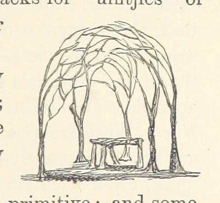 An illustration from Shifts and Expedients of Camp Life, Travels, etc, 1876, leaf 275