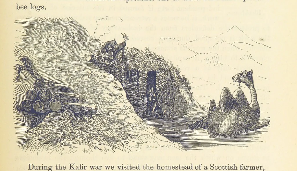 An illustration from Shifts and Expedients of Camp Life, Travels, etc, 1876, leaf 287