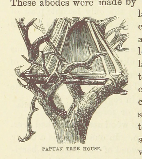 An illustration from Shifts and Expedients of Camp Life, Travels, etc, 1876, leaf 298