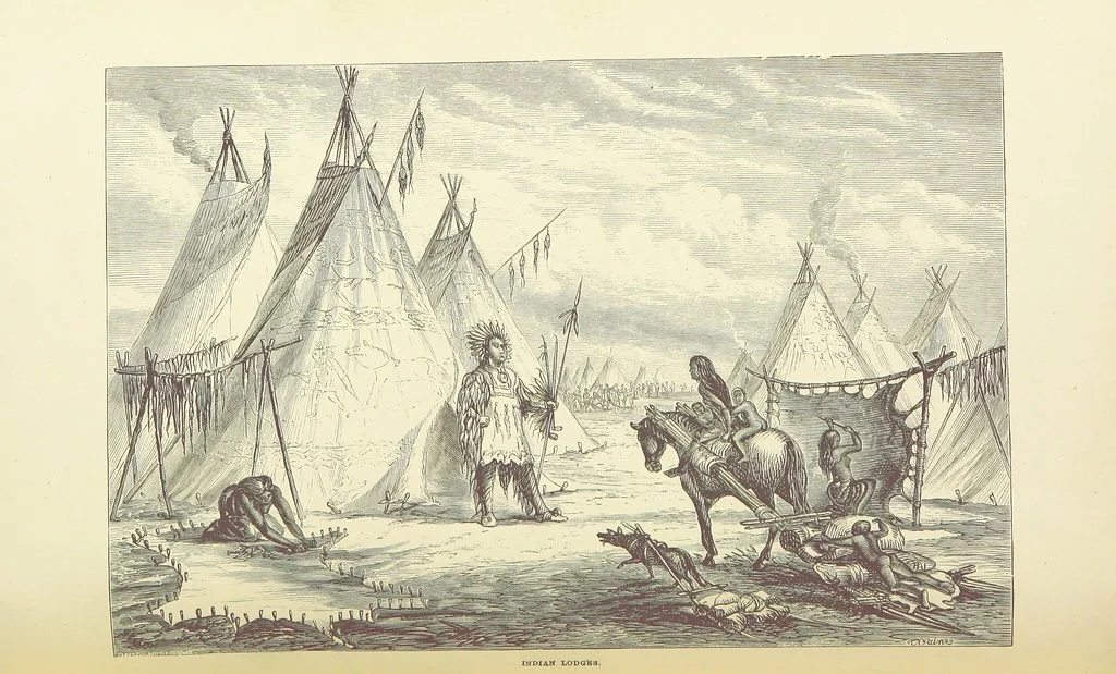 An illustration from Shifts and Expedients of Camp Life, Travels, etc, 1876, leaf 300