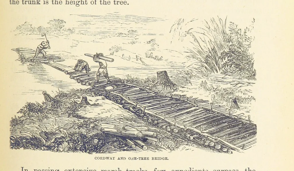 An illustration from Shifts and Expedients of Camp Life, Travels, etc, 1876, leaf 315