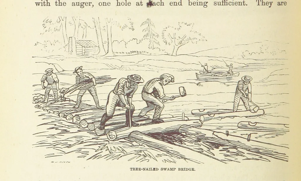 An illustration from Shifts and Expedients of Camp Life, Travels, etc, 1876, leaf 316