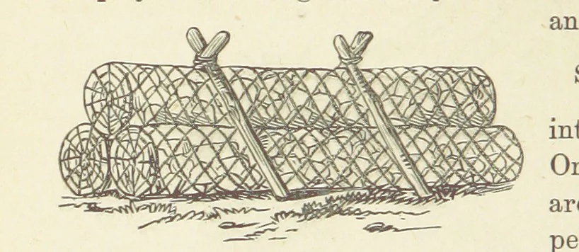 An illustration from Shifts and Expedients of Camp Life, Travels, etc, 1876, leaf 320