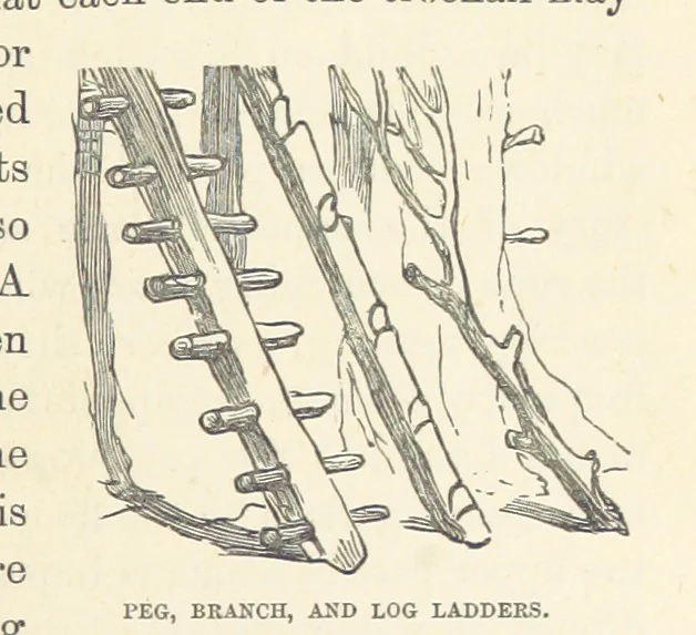 An illustration from Shifts and Expedients of Camp Life, Travels, etc, 1876, leaf 337