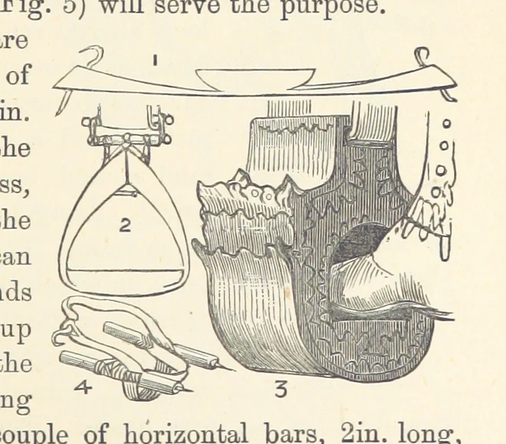 An illustration from Shifts and Expedients of Camp Life, Travels, etc, 1876, leaf 367