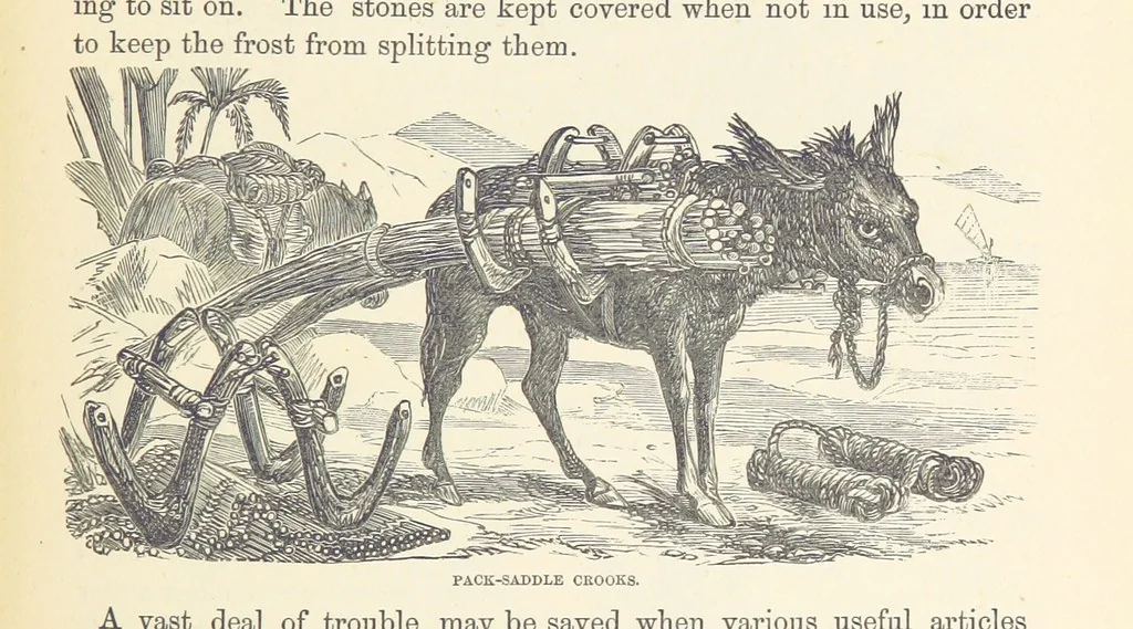An illustration from Shifts and Expedients of Camp Life, Travels, etc, 1876, leaf 375