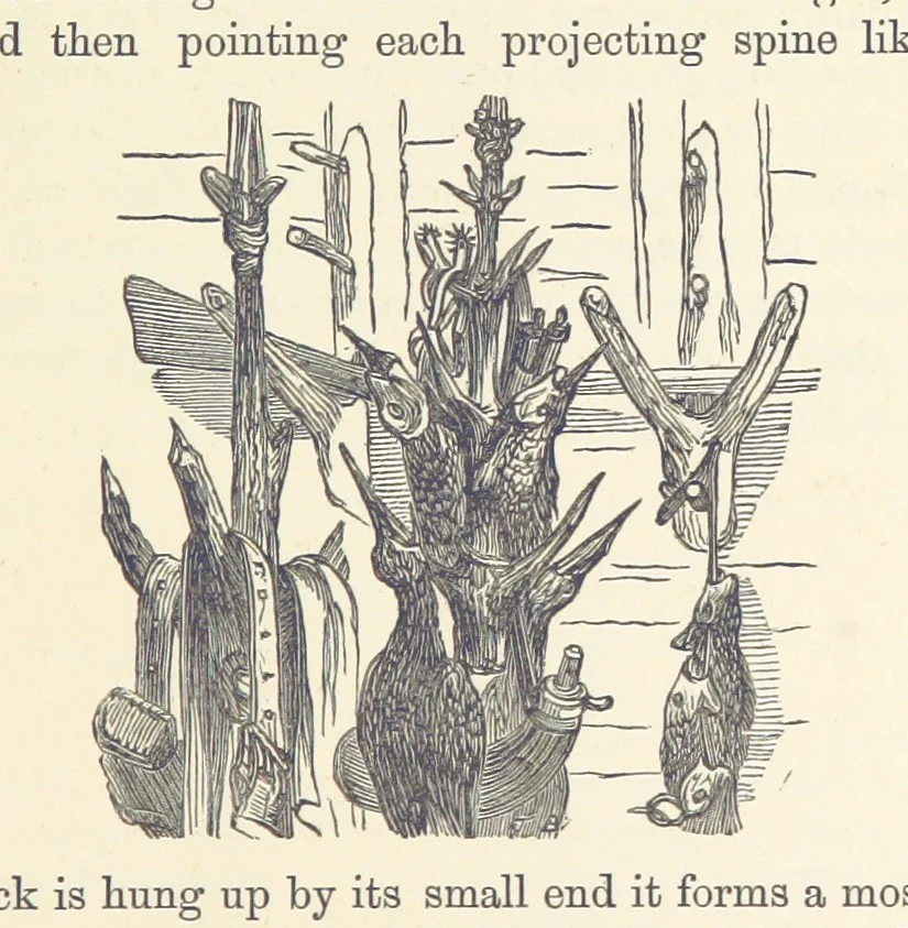 An illustration from Shifts and Expedients of Camp Life, Travels, etc, 1876, leaf 379