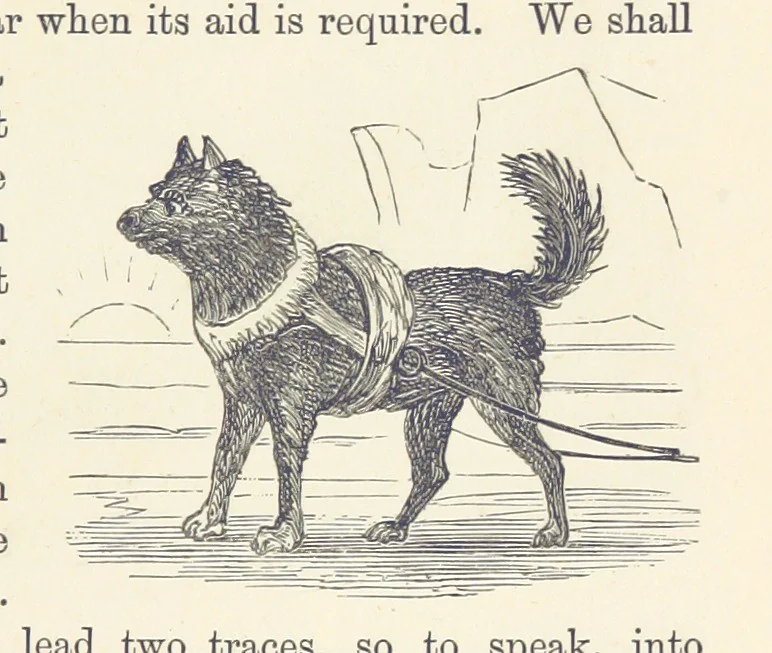 An illustration from Shifts and Expedients of Camp Life, Travels, etc, 1876, leaf 383