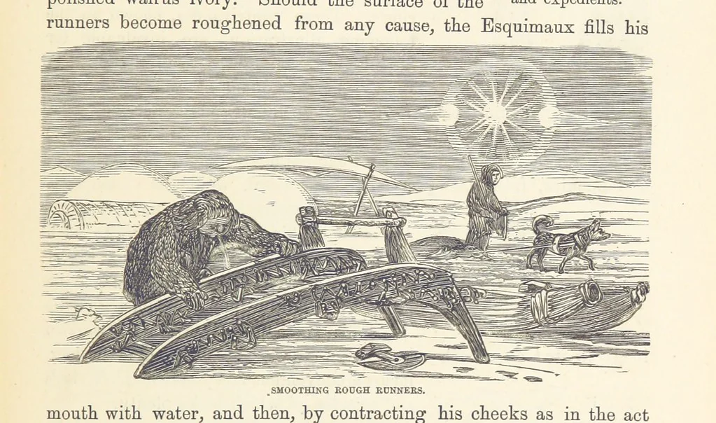 An illustration from Shifts and Expedients of Camp Life, Travels, etc, 1876, leaf 385