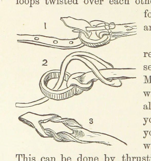 An illustration from Shifts and Expedients of Camp Life, Travels, etc, 1876, leaf 386