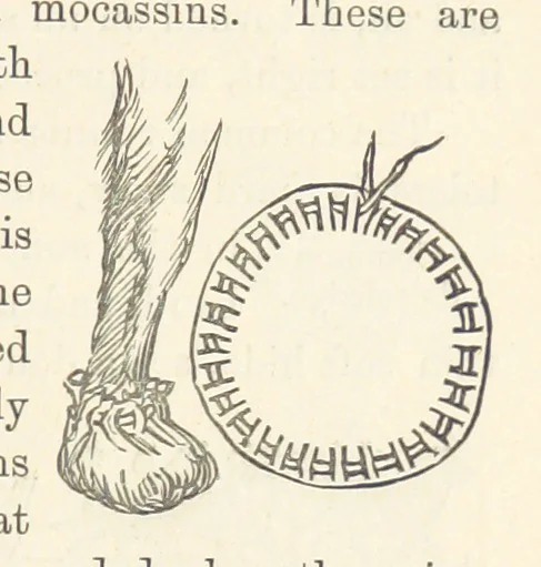 An illustration from Shifts and Expedients of Camp Life, Travels, etc, 1876, leaf 391