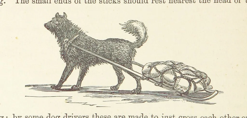 An illustration from Shifts and Expedients of Camp Life, Travels, etc, 1876, leaf 392