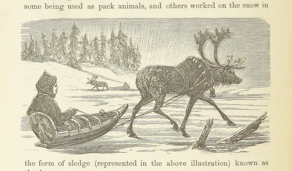 An illustration from Shifts and Expedients of Camp Life, Travels, etc, 1876, leaf 394