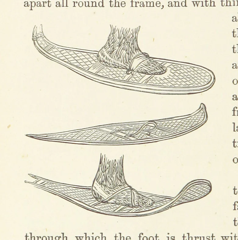 An illustration from Shifts and Expedients of Camp Life, Travels, etc, 1876, leaf 396