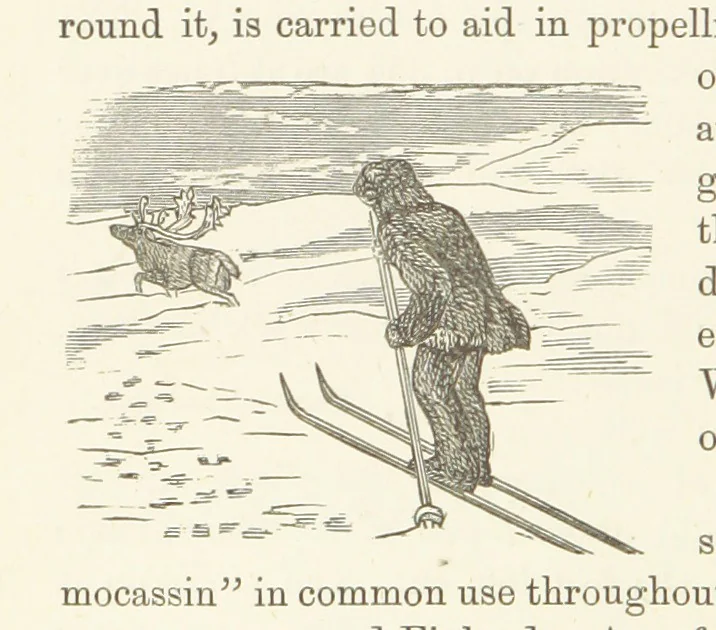 An illustration from Shifts and Expedients of Camp Life, Travels, etc, 1876, leaf 398