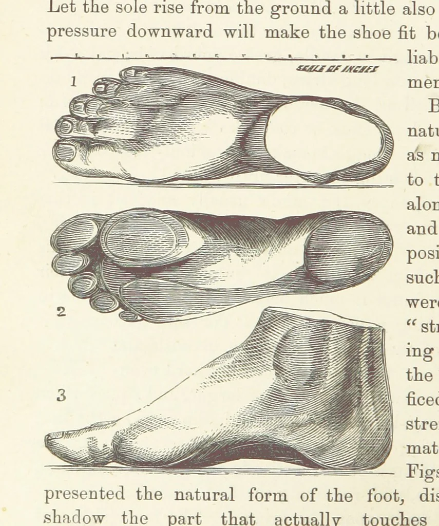 An illustration from Shifts and Expedients of Camp Life, Travels, etc, 1876, leaf 404
