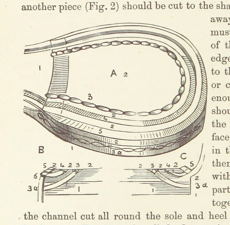 An illustration from Shifts and Expedients of Camp Life, Travels, etc, 1876, leaf 408