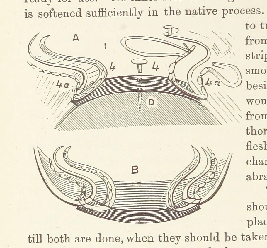 An illustration from Shifts and Expedients of Camp Life, Travels, etc, 1876, leaf 410