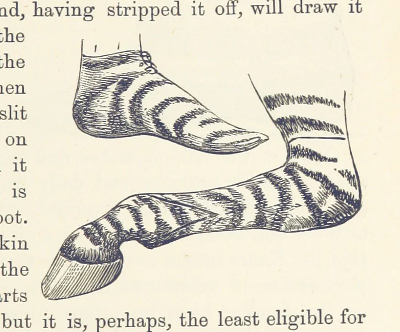 An illustration from Shifts and Expedients of Camp Life, Travels, etc, 1876, leaf 411
