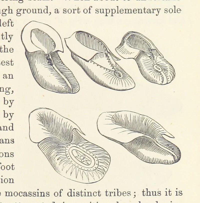 An illustration from Shifts and Expedients of Camp Life, Travels, etc, 1876, leaf 411