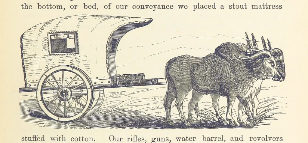 An illustration from Shifts and Expedients of Camp Life, Travels, etc, 1876, leaf 425