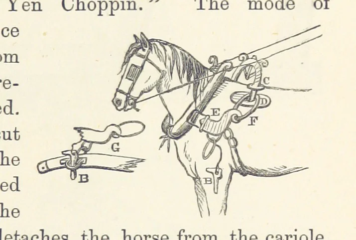 An illustration from Shifts and Expedients of Camp Life, Travels, etc, 1876, leaf 427
