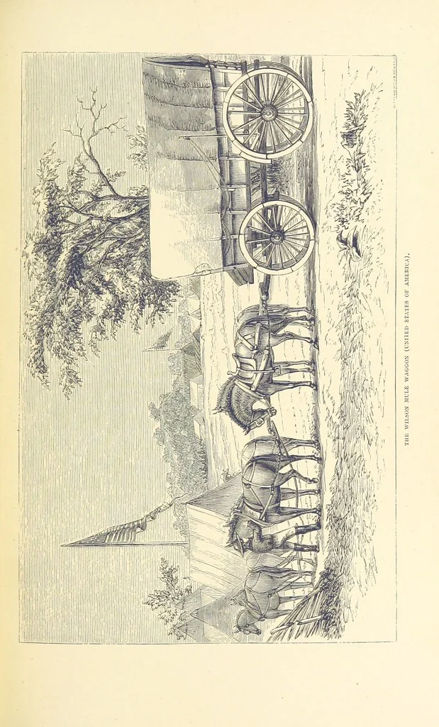 An illustration from Shifts and Expedients of Camp Life, Travels, etc, 1876, leaf 429