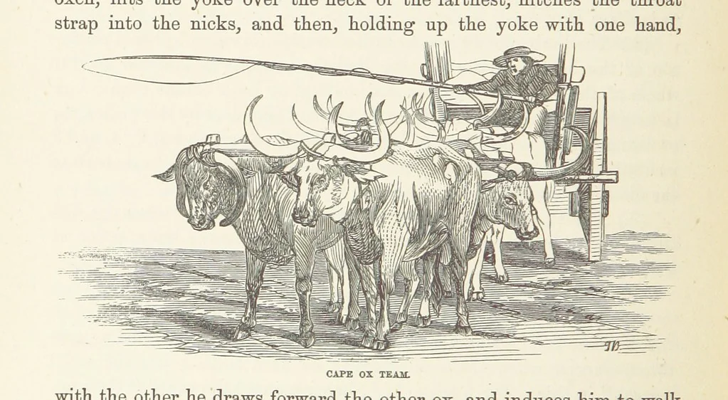 An illustration from Shifts and Expedients of Camp Life, Travels, etc, 1876, leaf 438
