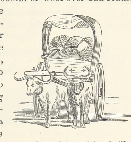 An illustration from Shifts and Expedients of Camp Life, Travels, etc, 1876, leaf 439