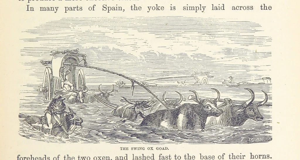 An illustration from Shifts and Expedients of Camp Life, Travels, etc, 1876, leaf 439