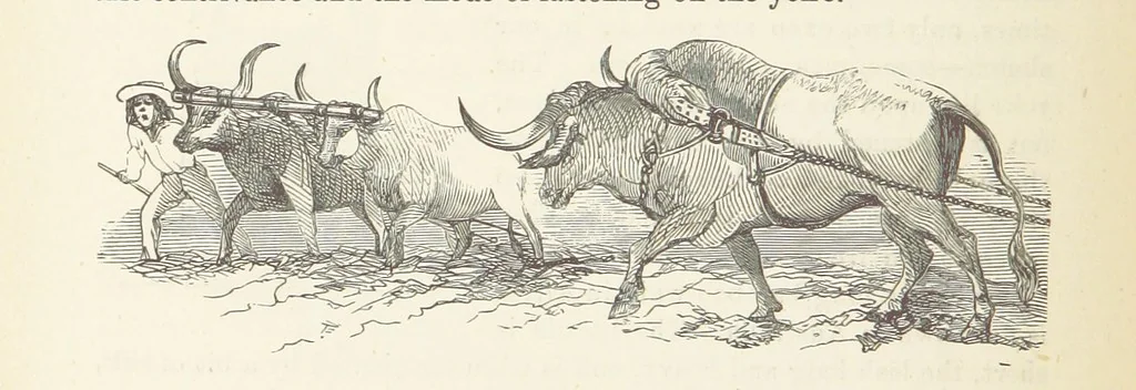 An illustration from Shifts and Expedients of Camp Life, Travels, etc, 1876, leaf 440