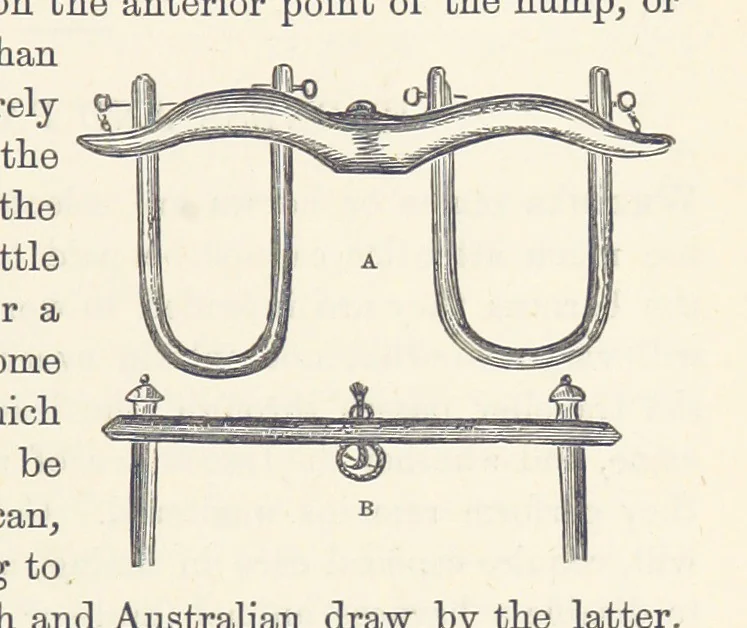 An illustration from Shifts and Expedients of Camp Life, Travels, etc, 1876, leaf 441