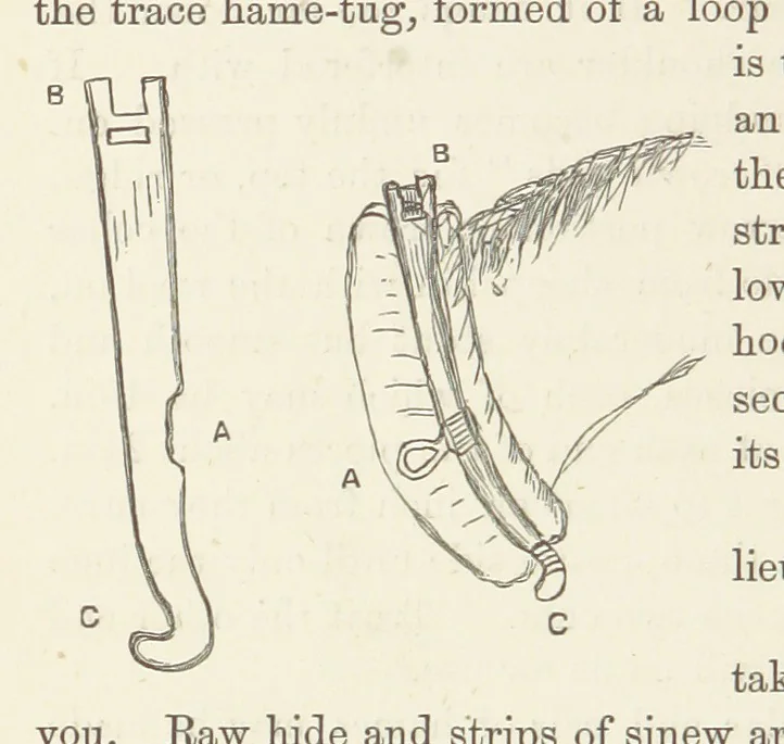 An illustration from Shifts and Expedients of Camp Life, Travels, etc, 1876, leaf 444