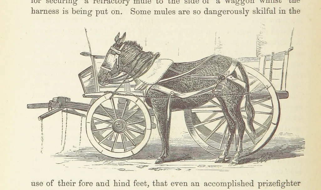 An illustration from Shifts and Expedients of Camp Life, Travels, etc, 1876, leaf 444