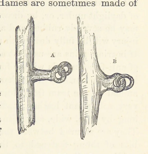 An illustration from Shifts and Expedients of Camp Life, Travels, etc, 1876, leaf 445