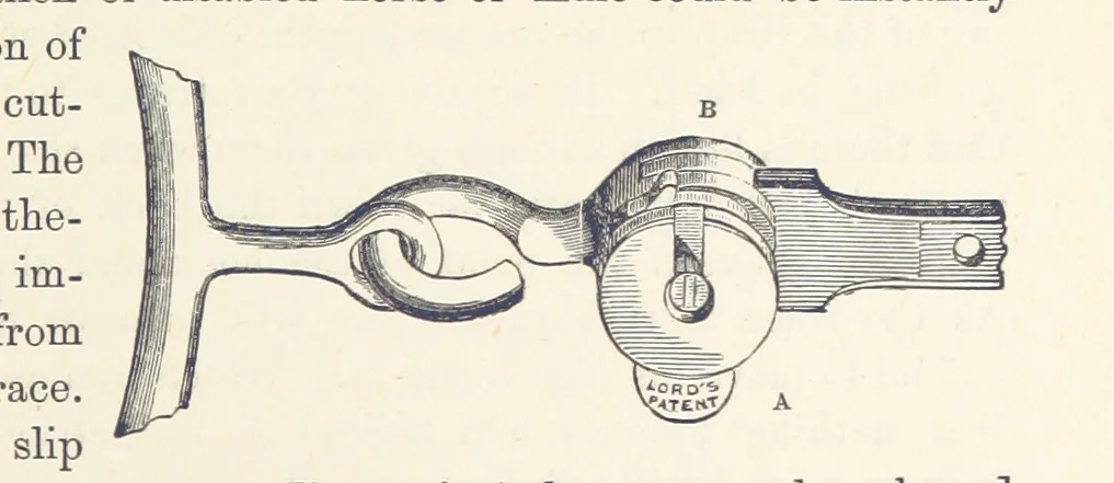An illustration from Shifts and Expedients of Camp Life, Travels, etc, 1876, leaf 445