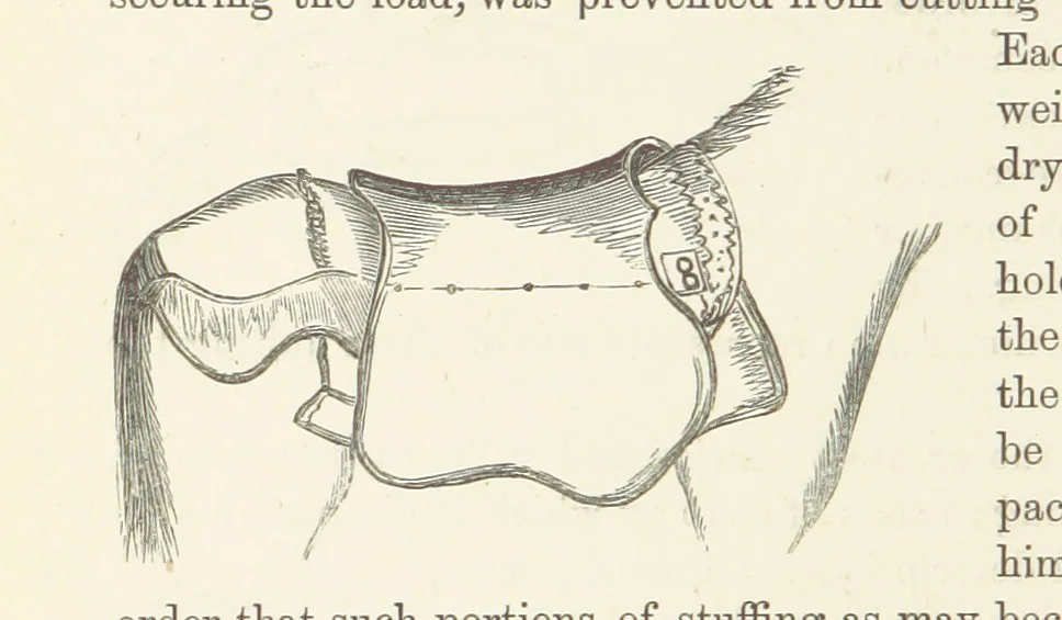 An illustration from Shifts and Expedients of Camp Life, Travels, etc, 1876, leaf 448