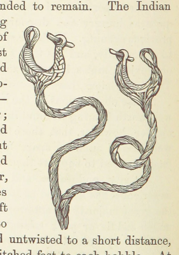 An illustration from Shifts and Expedients of Camp Life, Travels, etc, 1876, leaf 454