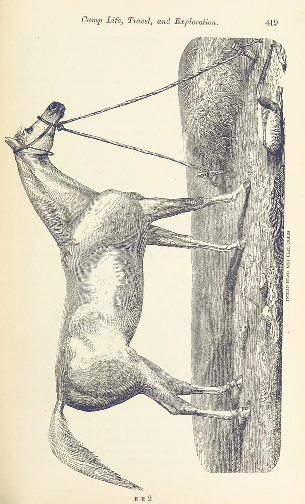 An illustration from Shifts and Expedients of Camp Life, Travels, etc, 1876, leaf 455