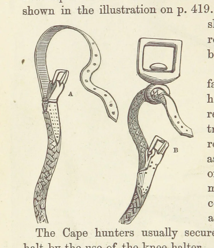 An illustration from Shifts and Expedients of Camp Life, Travels, etc, 1876, leaf 456
