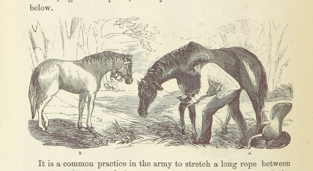 An illustration from Shifts and Expedients of Camp Life, Travels, etc, 1876, leaf 456