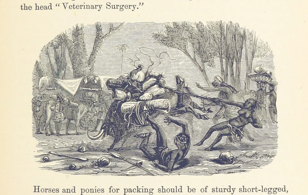 An illustration from Shifts and Expedients of Camp Life, Travels, etc, 1876, leaf 459