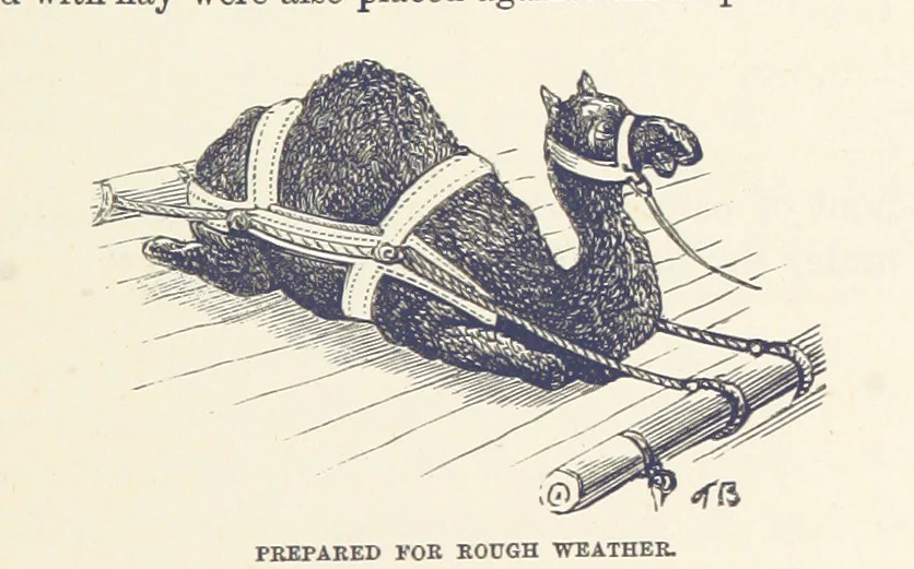 An illustration from Shifts and Expedients of Camp Life, Travels, etc, 1876, leaf 467
