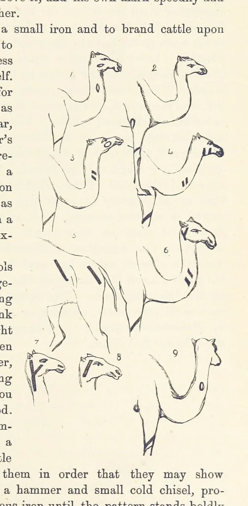 An illustration from Shifts and Expedients of Camp Life, Travels, etc, 1876, leaf 471
