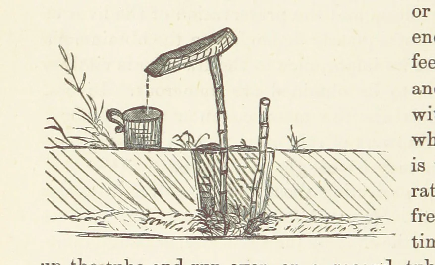 An illustration from Shifts and Expedients of Camp Life, Travels, etc, 1876, leaf 474
