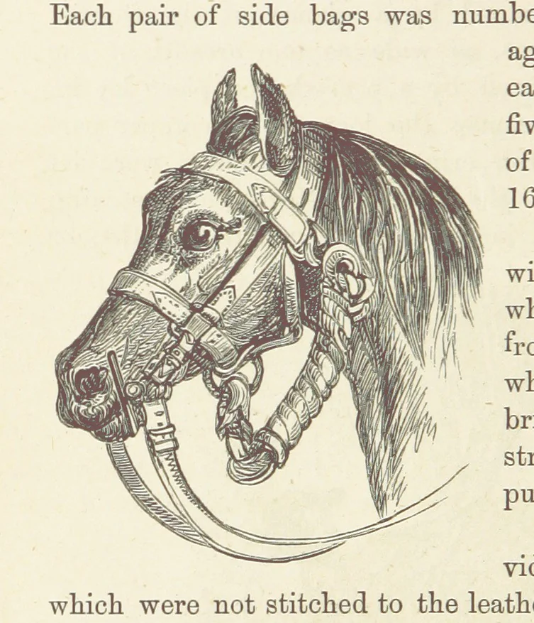 An illustration from Shifts and Expedients of Camp Life, Travels, etc, 1876, leaf 48