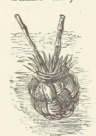 An illustration from Shifts and Expedients of Camp Life, Travels, etc, 1876, leaf 482
