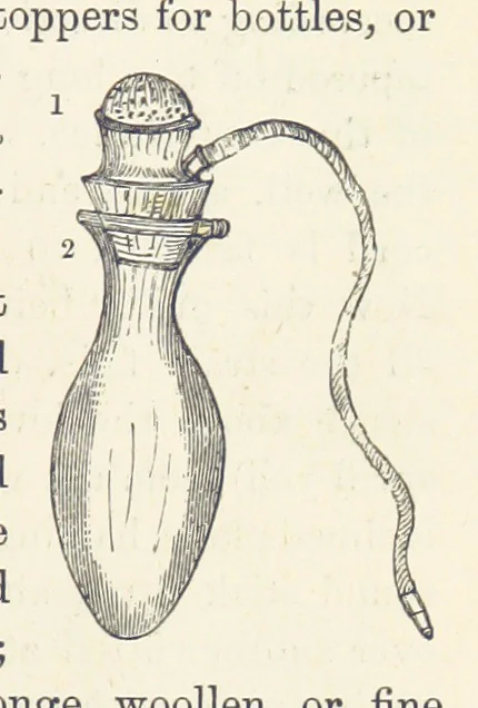 An illustration from Shifts and Expedients of Camp Life, Travels, etc, 1876, leaf 489